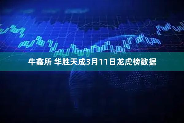 牛鑫所 华胜天成3月11日龙虎榜数据