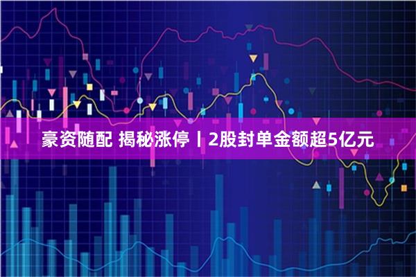 豪资随配 揭秘涨停丨2股封单金额超5亿元