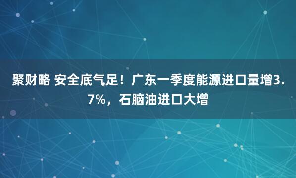 聚财略 安全底气足！广东一季度能源进口量增3.7%，石脑油进口大增